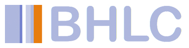Brunswick Hub Logo