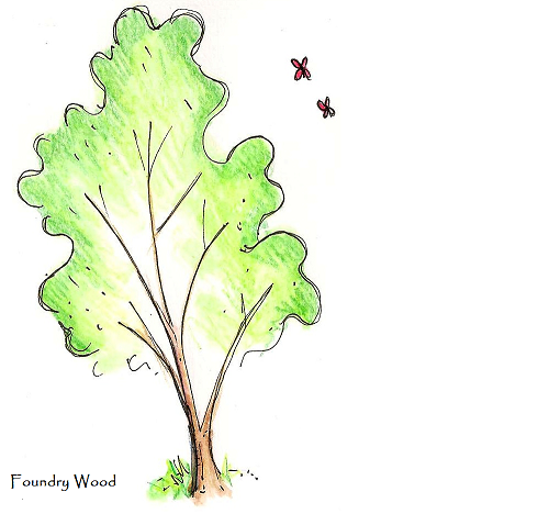 Foundry Wood Community Woodland Logo