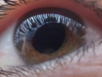 A photo of someone's eye