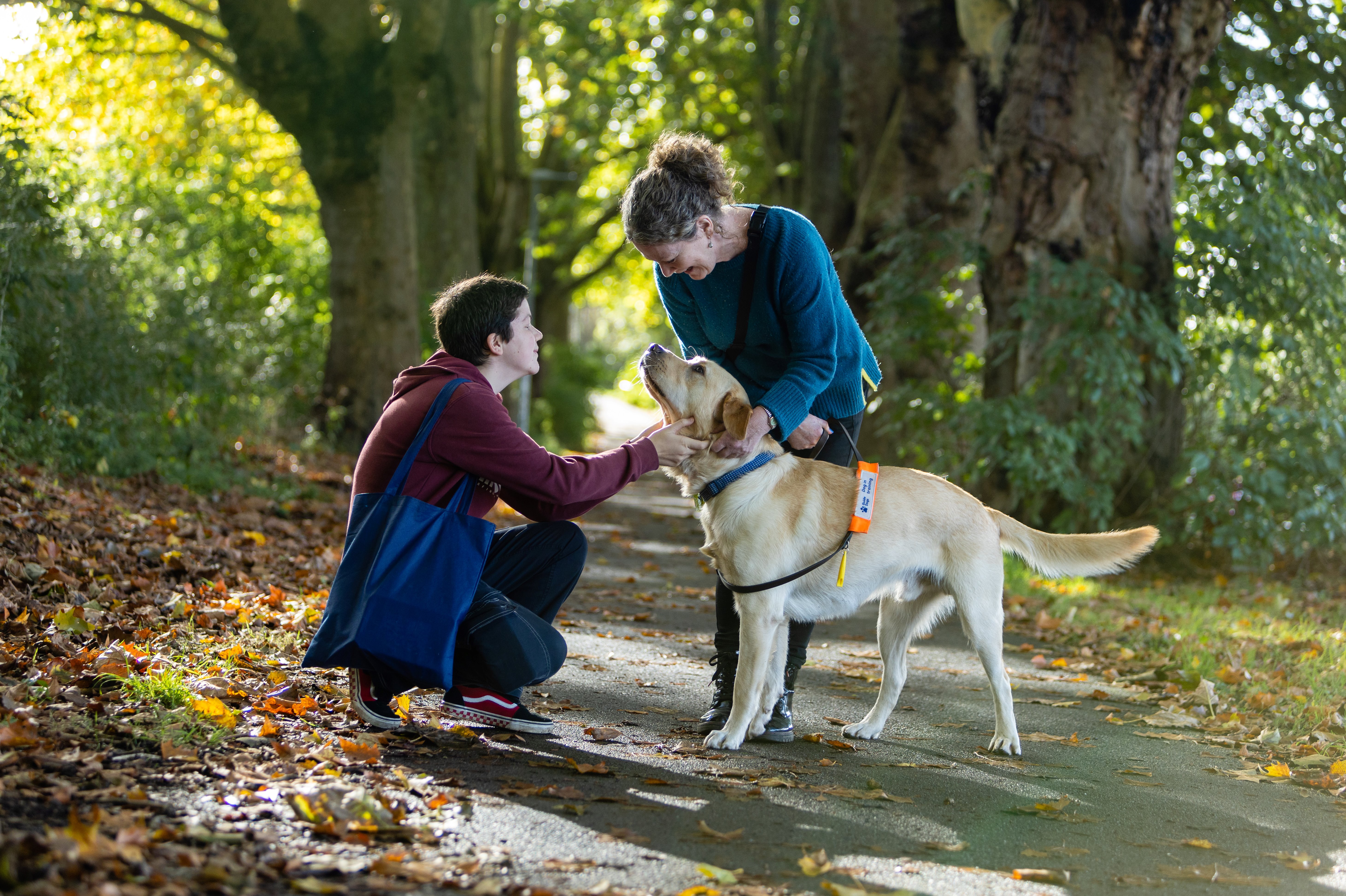Guide Dogs Virtual Fostering information event