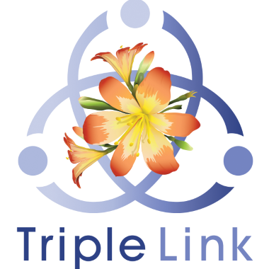Triple Link Logo
