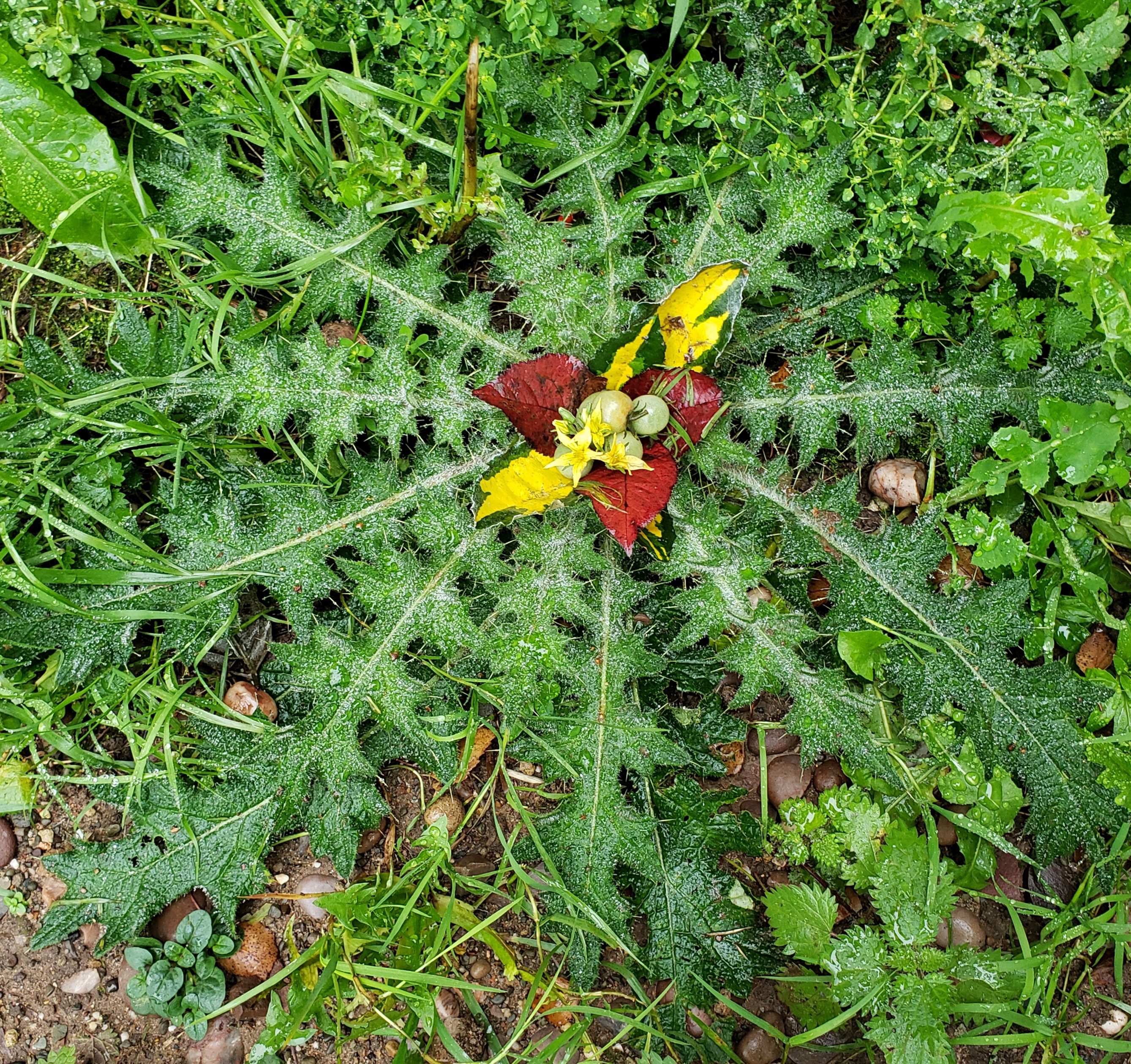 Art and Nature for Baby Loss
