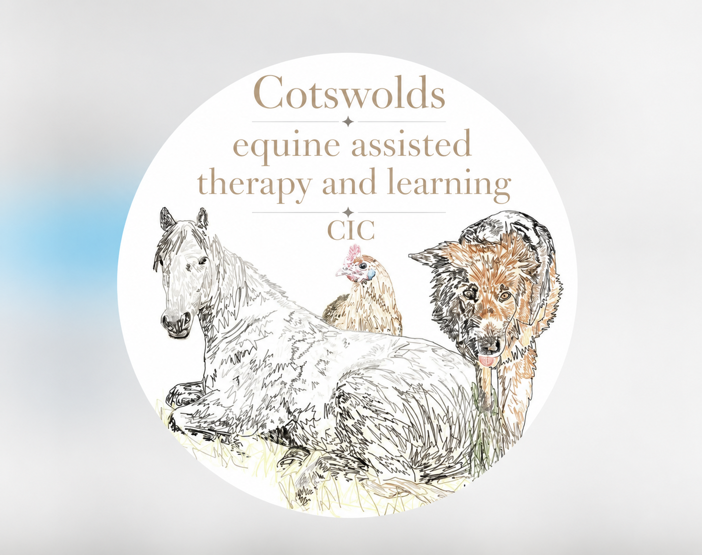 Pause & Reset – A Morning of Wellbeing with Horses Logo