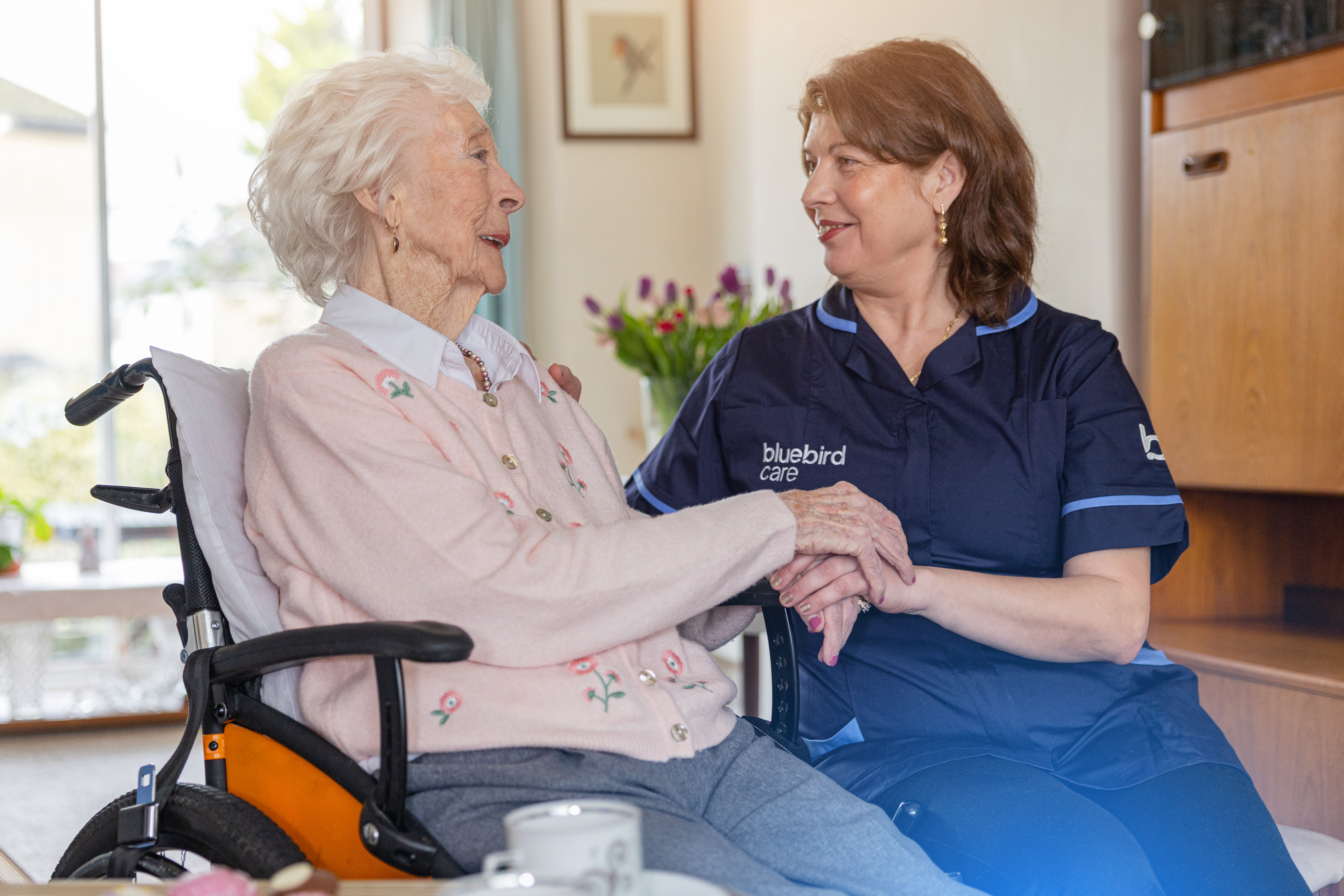 Bluebird Care (Stratford and Warwick)