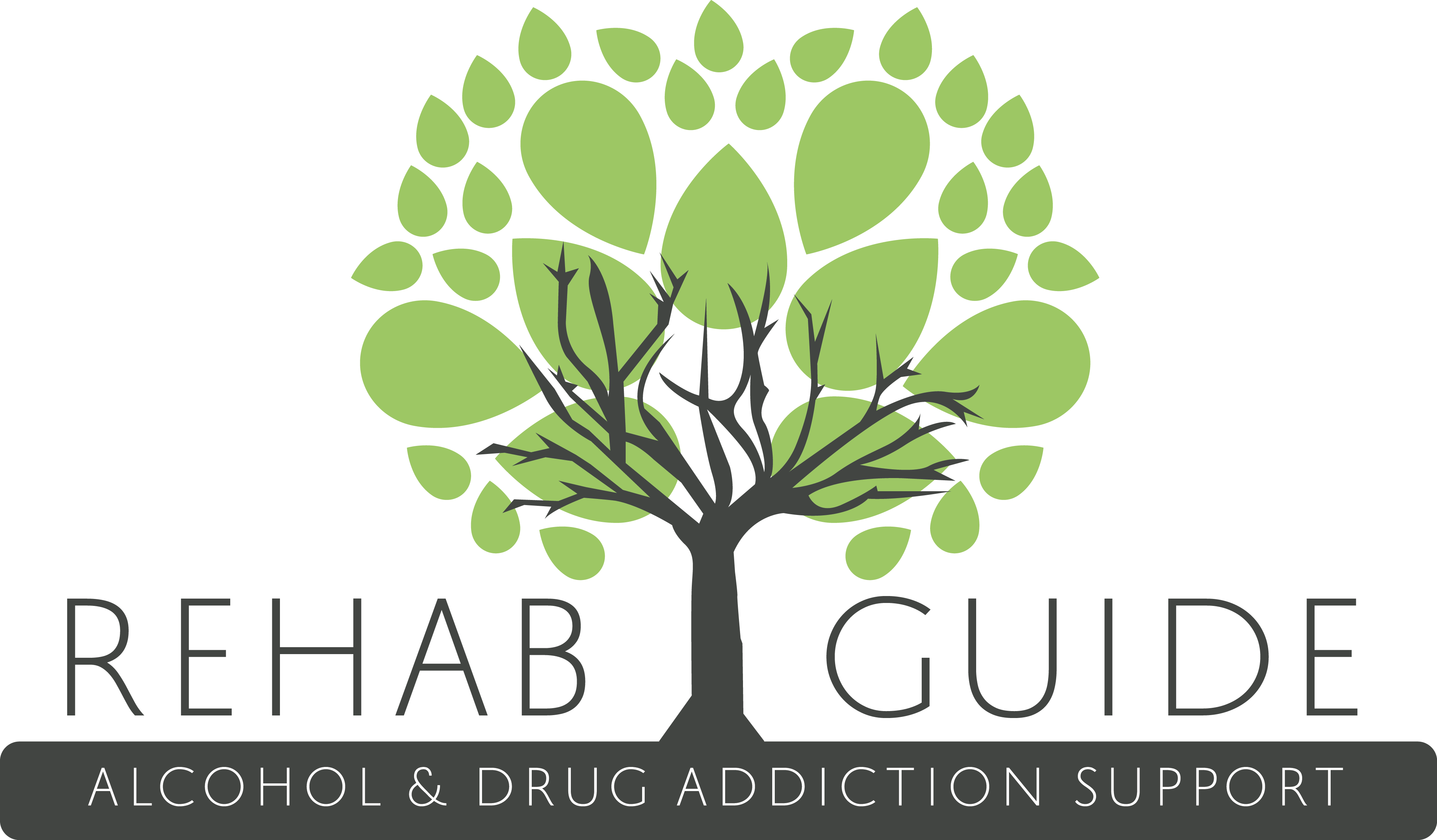 Rehab Guide Logo